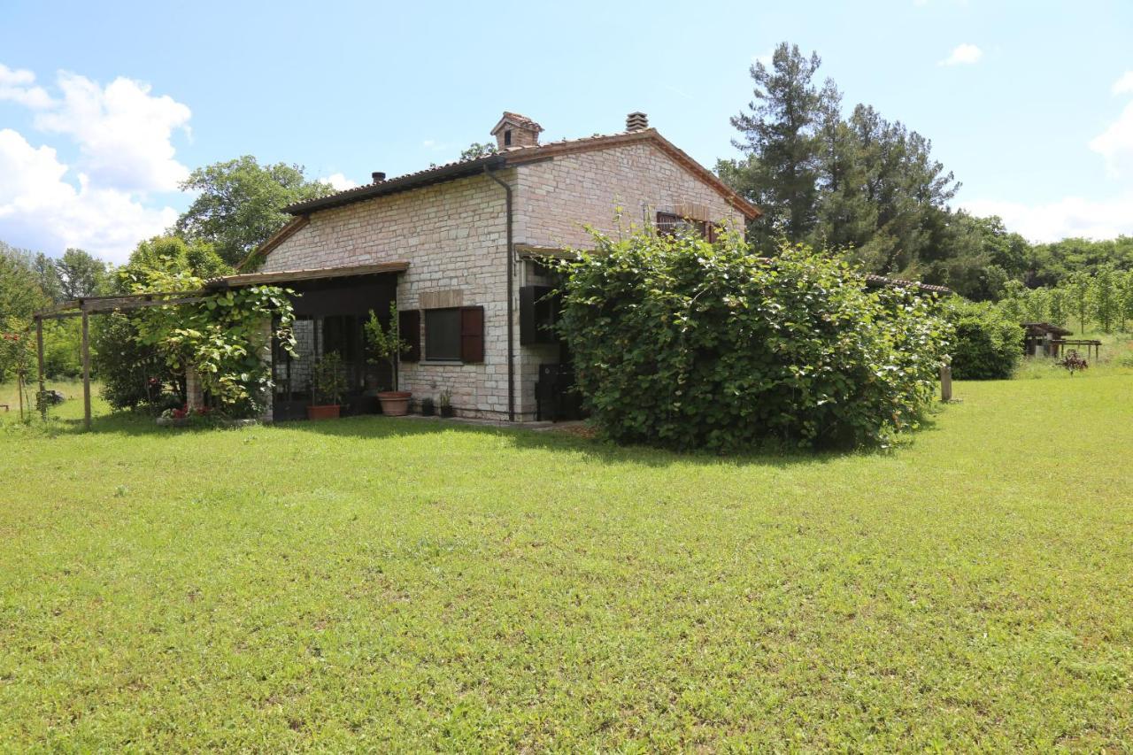 Casa La Gorga Villa Cagli Kültér fotó